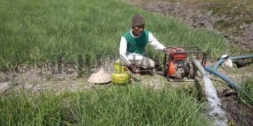Ilustrasi petani sedang menyedot air sawah dengan mesin.