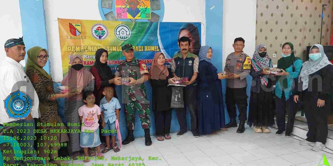 Pemdes Mekarjaya Salurkan Bantuan Stimulan Makanan Tambahan Kepada Bumil dan Balita