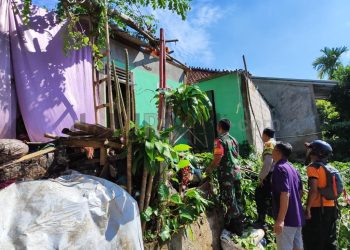 Rumah Warga Alami Kerusakan Akibat Tertimpa Pohon Tumbang, Bhabinkamtibmas Lakukan Penanganan