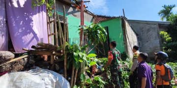 Rumah Warga Alami Kerusakan Akibat Tertimpa Pohon Tumbang, Bhabinkamtibmas Lakukan Penanganan