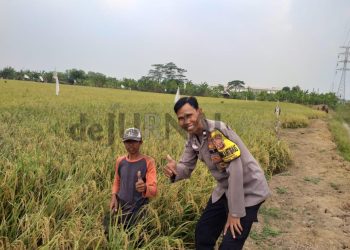 Bhabinkamtibmas Sambangi Sawah Petani di Desa Pinayungan
