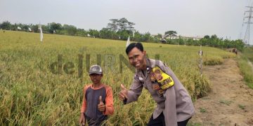 Bhabinkamtibmas Sambangi Sawah Petani di Desa Pinayungan