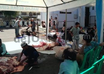 Rayakan Hari Raya Idul Adha 1444 H, Mesjid Besar Ciparay Potong Hewan Qurban