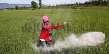 Rugikan Petani, FKMAD Dorong APH Tindak Oknum Penyebab Pupuk Bersubsidi Langka di Garut