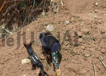 Kodim 0611 Garut Terjunkan Anjing Pelacak Dari Yonif Raider 300 Brajawijaya Bantu Cari Korban Tertimbun Longsor di Pendeuy