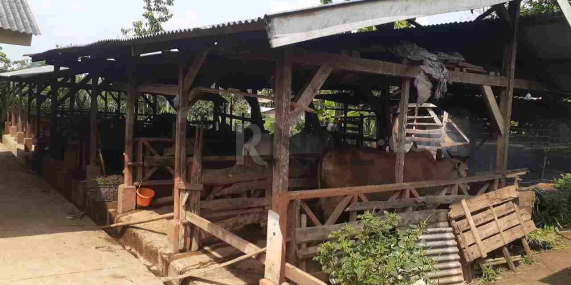 Salah Satu Poktan Penerima Bantuan Program UPPO Dilaporkan Forsal ke Kejari Lampung Utara