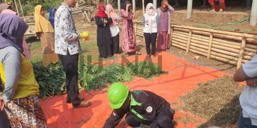 Kembangkan UMKM, PNM Bina Usaha Pakan Ternak di Garut