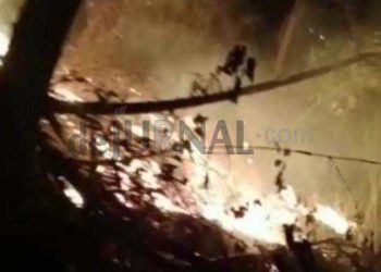 Lahan Gambut di Gunung Singa Soreang Kebakaran