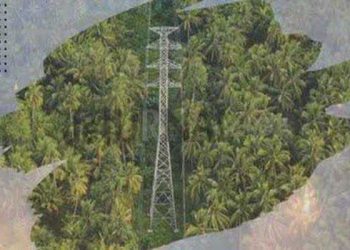 Dukung Transisi Energi Rendah Karbon PLN Luncurkan Laporan TCFD Pertama