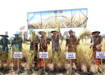 Panen Raya di Wilayah Kodam III Siliwangi, Kapolda Jabar Turut Hadir