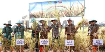 Panen Raya di Wilayah Kodam III Siliwangi, Kapolda Jabar Turut Hadir