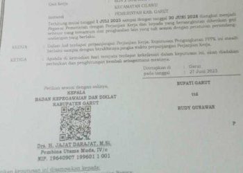 Heran! Ada Salinan SK P3K Garut Ditugaskan di Cilawu Namun Hasil Scan Barcode Nominatif Penempatan Tugas di Bungbulang