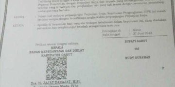 Heran! Ada Salinan SK P3K Garut Ditugaskan di Cilawu Namun Hasil Scan Barcode Nominatif Penempatan Tugas di Bungbulang