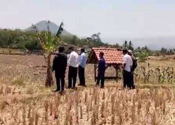 Laporan Warga Adanya Dugaan Puluhan AJB Bodong di Desa Kertajaya Direspon, Tim APH Sudah Turun ke Lapangan?