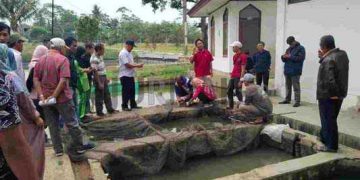 Dispakan Kabupaten Bandung Gelar Bimtek Budidaya Ikan Lele