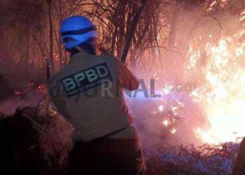 Gunung Papandayan Garut Kebakaran, Upaya Pemadaman Diupayakan