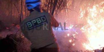 Gunung Papandayan Garut Kebakaran, Upaya Pemadaman Diupayakan