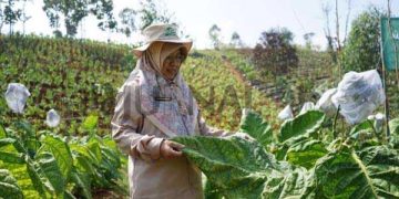 Distan Kabupaten Bandung Gelar Bedas Agro Fair 2023