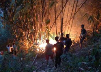 Kebun Bambu di Desa Sukamulya Ludes Dilalap Si Jago Merah