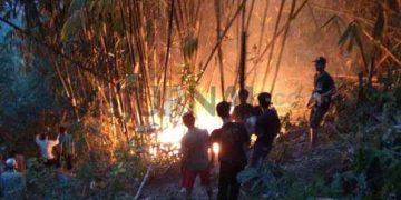 Kebun Bambu di Desa Sukamulya Ludes Dilalap Si Jago Merah