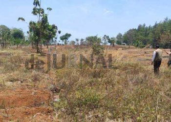 Pamidangan Domba Garut, Proyeksi Desa Cirapuhan Menjadi Desa Wisata