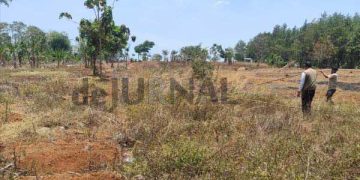 Pamidangan Domba Garut, Proyeksi Desa Cirapuhan Menjadi Desa Wisata