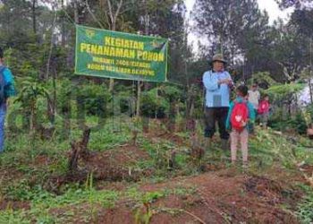 Hari Juang Kartika TNI AD, Koramil 2408/Ciparay Tanam Bibit Pohon di Area Pasir Tulang