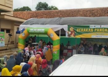 Dinas Pertanian Ciamis Gelar GPN antisipasi inflasi