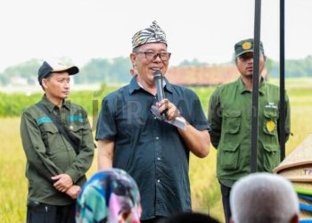 Pj. Bupati Purwakarta Dorong Pengembangan Durian Ikuti Kesuksesan Buah Manggis