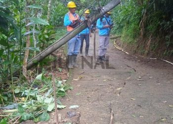 PLN ULP Singaparna Gerak Cepat Tangani Gangguan Kelistrikan Akibat Longsor di Taraju