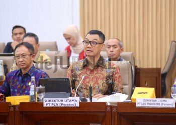 PLN Ajukan 3 Triliun PMN 2025 Untuk Bangun Kelistrikan Daerah Terpencil