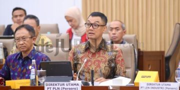 PLN Ajukan 3 Triliun PMN 2025 Untuk Bangun Kelistrikan Daerah Terpencil