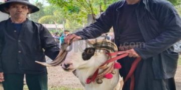 Pakaian Kamis Nyunda Kembali, DKKG : Semoga Kita Paham, Berkebudayaan Merupakan Hal Mendasar