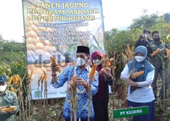 Digelar di GBS, Bupati Bandung Ajak Masyarakat Ramaikan Gebyar Perbenihan Tanaman Pangan Nasional IX