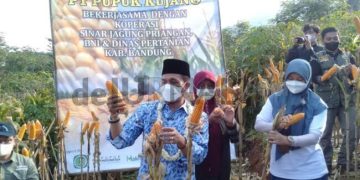 Digelar di GBS, Bupati Bandung Ajak Masyarakat Ramaikan Gebyar Perbenihan Tanaman Pangan Nasional IX