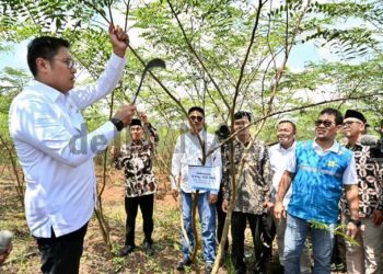 PLN Bersama Kementan Luncurkan Model Pertanian Terpadu
