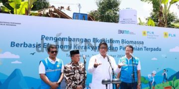 Ubah Lahan Kritis Jadi Hijau dan Produktif, PLN Kembangkan Ekosistem Biomassa Berbasis Pertanian Terpadu