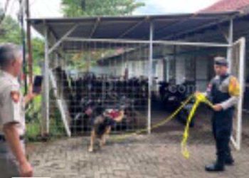 Polisi Terjunkan Anjing Pelacak Untuk Ungkap Pelaku Curanmor