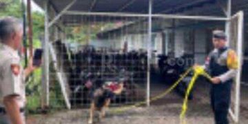 Polisi Terjunkan Anjing Pelacak Untuk Ungkap Pelaku Curanmor