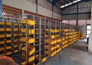 Kepala UPTD TPST Mekarrahayu Agung  Kurniawan Bantah Proyek Magot Terbengkalai