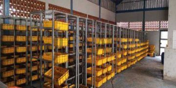 Kepala UPTD TPST Mekarrahayu Agung  Kurniawan Bantah Proyek Magot Terbengkalai