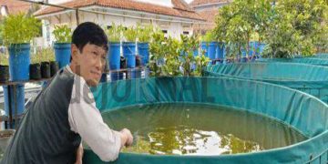 Ketahanan Pangan Desa Cangkuang Akan Bangun  Green House di Tanah Carik