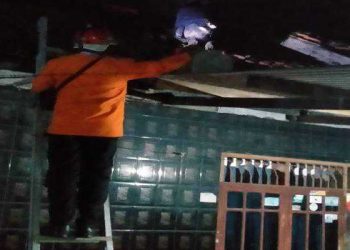 Tim Relawan Rescue RPS Evakusi Sarang Tawon Vespa Afinis Di Rumah Warga Desa Kamarung