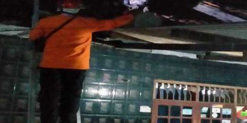 Tim Relawan Rescue RPS Evakusi Sarang Tawon Vespa Afinis Di Rumah Warga Desa Kamarung