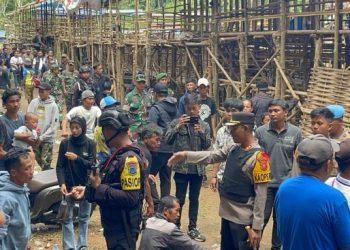 Ketangkasan Adu Bagong Ilegal di Tertibkan Polres Pangandaran