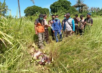 Mayat Wisatawan yang Hilang di Pantai Santolo Berhasil Ditemukan Sat Polairud Polres Garut