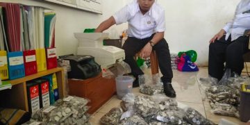 Receh Jadi Berkah: Baznas Ciamis Himpun Rp7 Miliar dari Kencleng Warga Desa