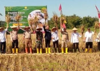 Foto : Bupati Ciamis yang diwakili oleh Sekretaris Daerah Kabupaten Ciamis, Dr. H. Andang Firman Triadi mengikuti acara Panen raya serentak 14 provinsi dan 156 kabupaten/kota sentra utama padi di seluruh Indonesia yang dihadiri oleh Presiden Prabowo Subianto. Senin (07/04/2025)