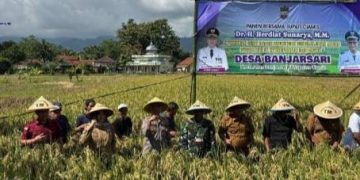 Ciamis Dorong Revolusi Pertanian Organik: Bangun Kesadaran Petani dan Lestarikan Alam Lewat Inovasi Ramah Lingkungan