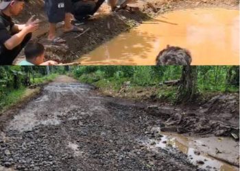 Warga Desa Sindangbarang Bergerak: Akses Jalan Rusak Diperbaiki Swadaya, Pemerintah Desa Desak Tindak Lanjut PUPR